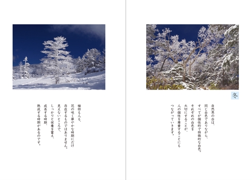 光の魂たち 植物編 人の霊性進化を見守る植物たち 光の魂たち 植物編 人の霊性進化を見守る植物たち – 丸善ジュンク堂