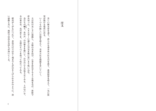 光の魂たち 山岳編 序章 人の御魂を磨く聖なる山々 – 丸善ジュンク堂