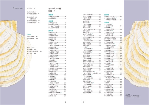 新版 日本の貝 – 丸善ジュンク堂書店ネットストア