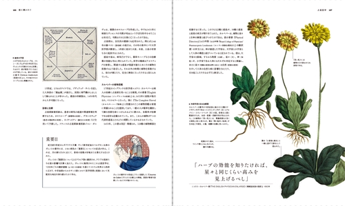 占術の書 – 丸善ジュンク堂書店ネットストア