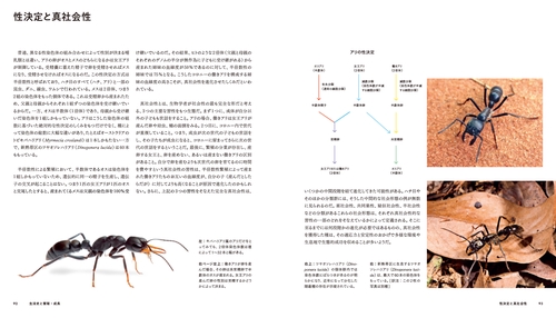 ANTS アリの世界 ビジュアルガイド – 丸善ジュンク堂書店ネットストア