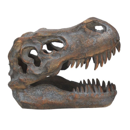 【NHM】レプリカ(T.REX)