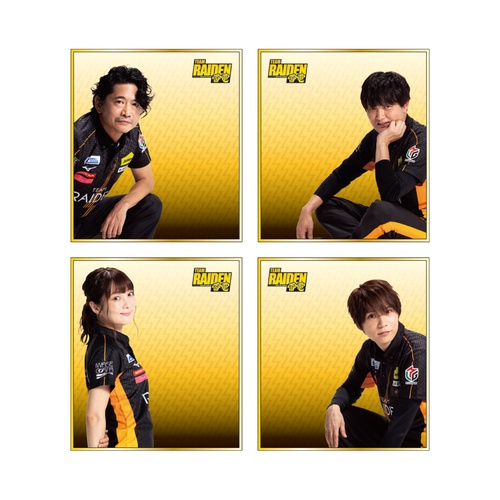 ミニ色紙セット Mリーグ2025-26 TEAM RAIDEN/雷電