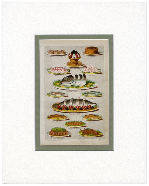 OR) ビートン夫人の家政書より 「魚料理」 / Mrs Beeton's of Household Management「FISH」