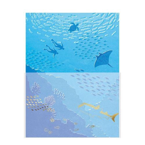 封筒が透ける景色のレター 海と魚たち