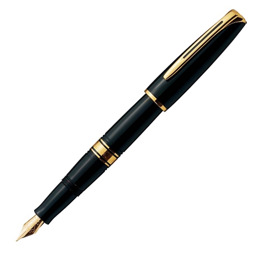 WATERMAN (ウォーターマン) Charleston (チャールストン) 万年筆 F エボニーブラックGT