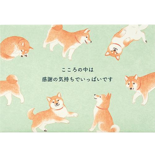 感謝 しっぽを振る柴犬 グリーティングカード