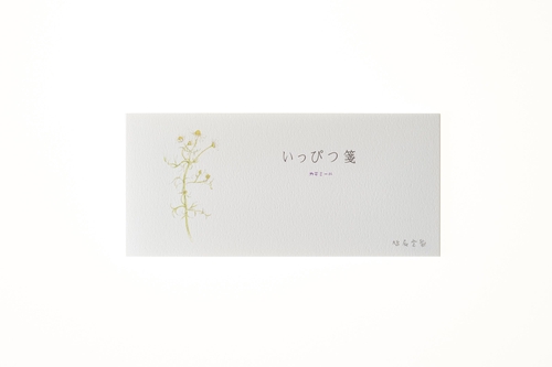 一筆箋 カモミール 縦7.5cm×横16.6cm×高さ0.4cm 20枚