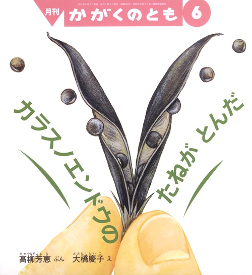 かがくのとも 2024年 06月号 [雑誌]