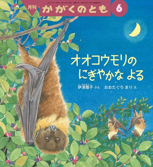 オオコウモリの にぎやかな よる(かがくのとも) (2025年06月号) [雑誌]