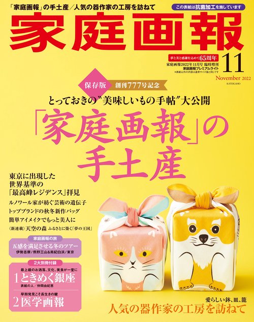 家庭画報増家庭画報プレミアムライト版 2022年 11月 別冊・臨時増刊 [雑誌]