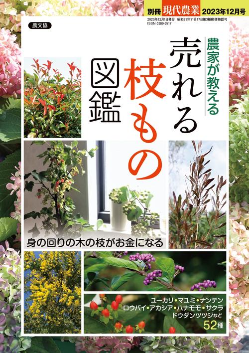 現代農業別農家が教える売れる枝もの 2023年 12月 別冊・臨時増刊 [雑誌]