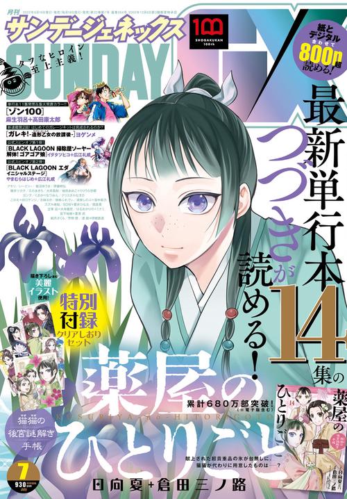 月刊サンデージェネックス 2022年 07月号 [雑誌]