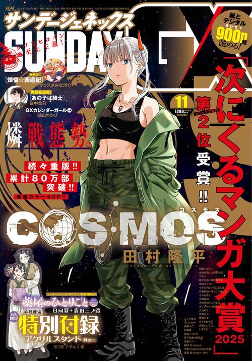月刊サンデージェネックス 2025年 11月号 [雑誌]