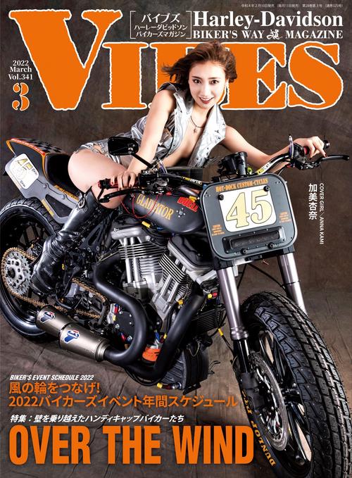 VIBES(バイブズ) 2022年 03月号 [雑誌]