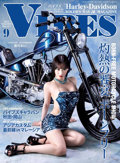 VIBES(バイブズ) 2022年 09月号 [雑誌]