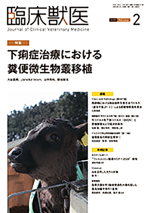 臨床獣医 (2025年02月号) [雑誌]