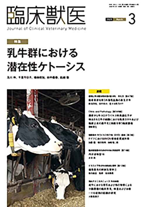 臨床獣医 (2025年03月号) [雑誌]