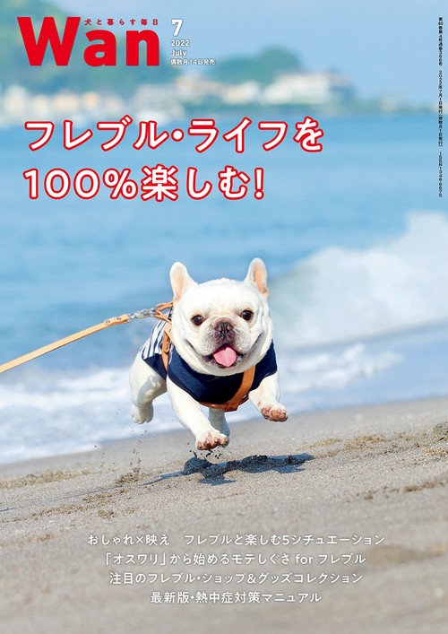 Wan 2022年 07月号 [雑誌]