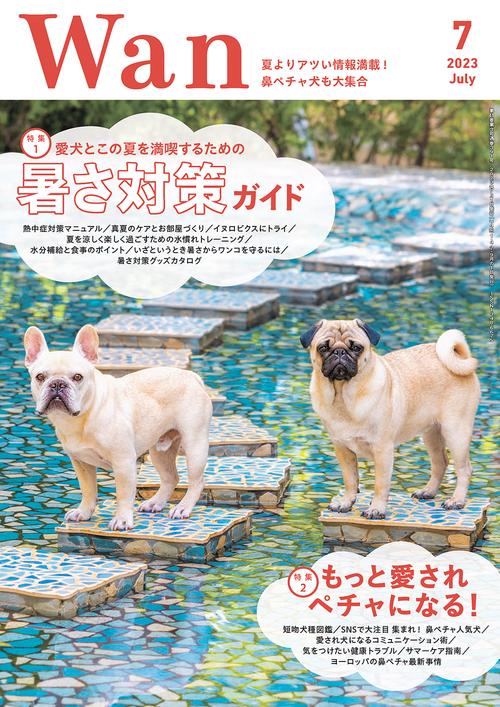 Wan 2023年 07月号 [雑誌]