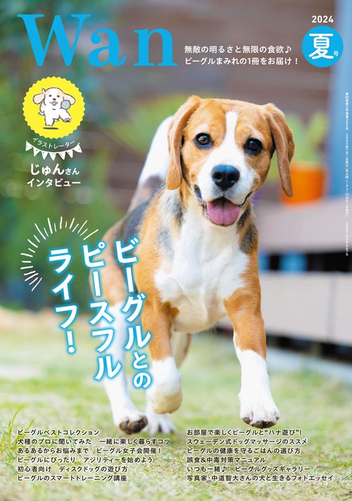 Wan 2024年 07月号 [雑誌]