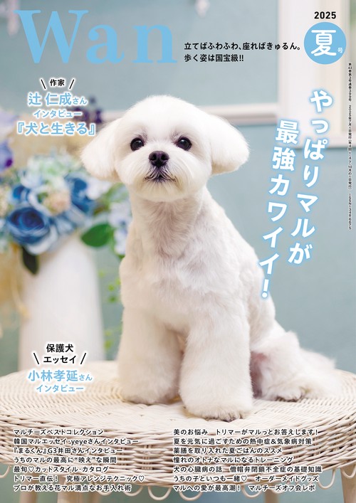 Wan (2025年07月号) [雑誌]