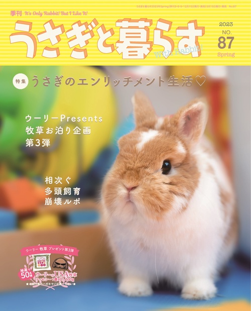 うさぎと暮らす 2023年 04月号 [雑誌]