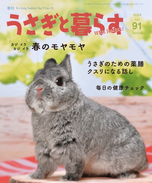 うさぎと暮らす 2024年 04月号 [雑誌]