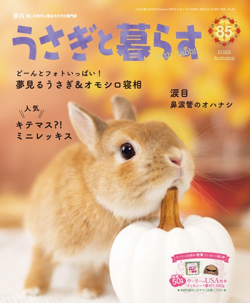 うさぎと暮らす 2022年 10月号 [雑誌]