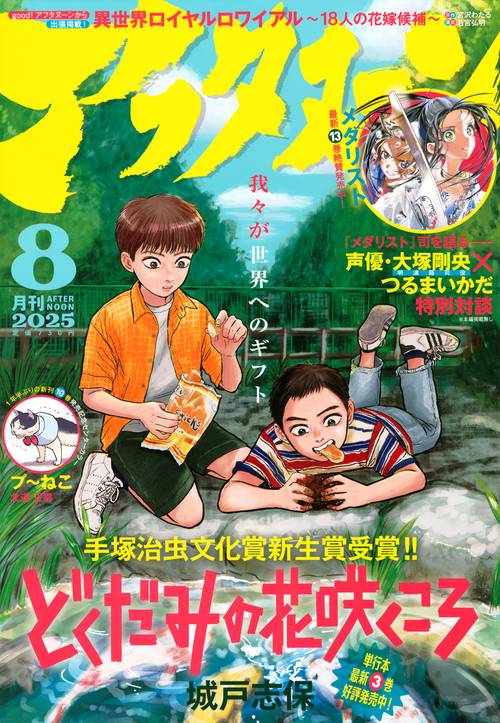 アフタヌーン (2025年08月号) [雑誌]