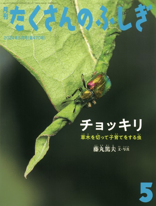 たくさんのふしぎ 2024年 05月号 [雑誌]