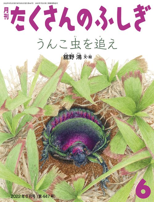 たくさんのふしぎ 2022年 06月号 [雑誌]