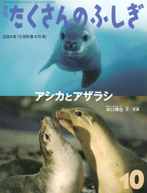 たくさんのふしぎ (2024年10月号) [雑誌]