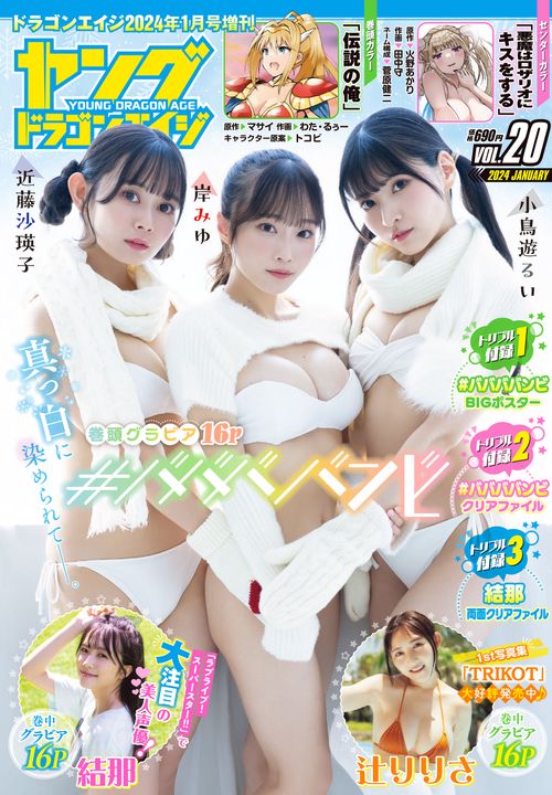月刊ドラゴンエイジ増20ヤングドラゴ 2024年 01月 別冊・臨時増刊 [雑誌]