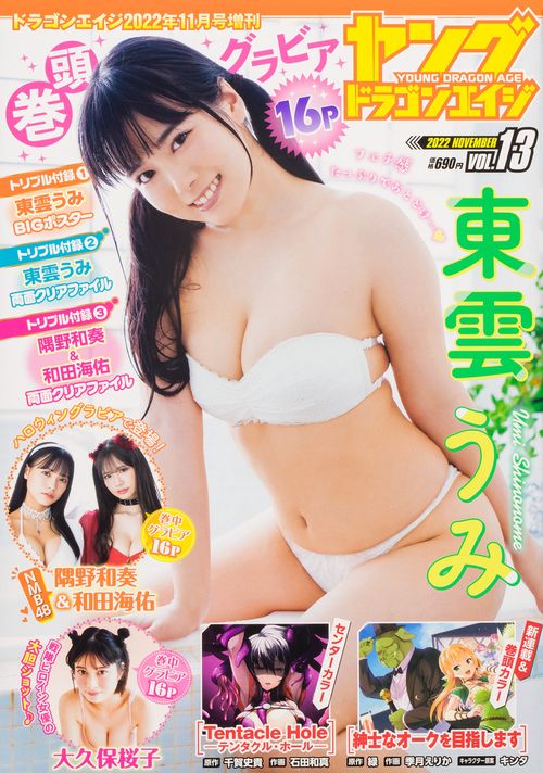 月刊ドラゴンエイジ増13ヤングドラゴ 2022年 11月 別冊・臨時増刊 [雑誌]