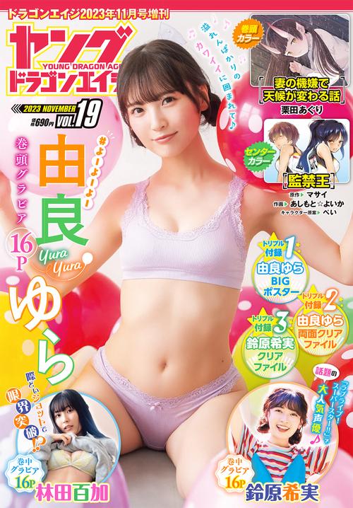 月刊ドラゴンエイジ増19ヤングドラゴ 2023年 11月 別冊・臨時増刊 [雑誌]