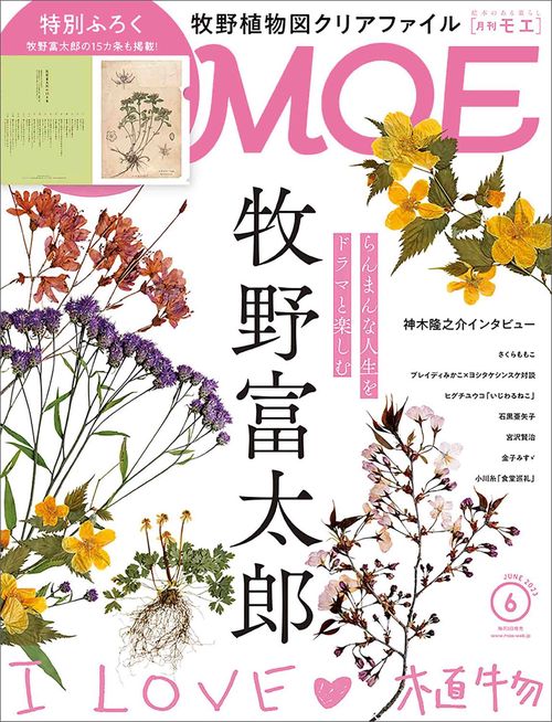 MOE 2023年 06月号 [雑誌]