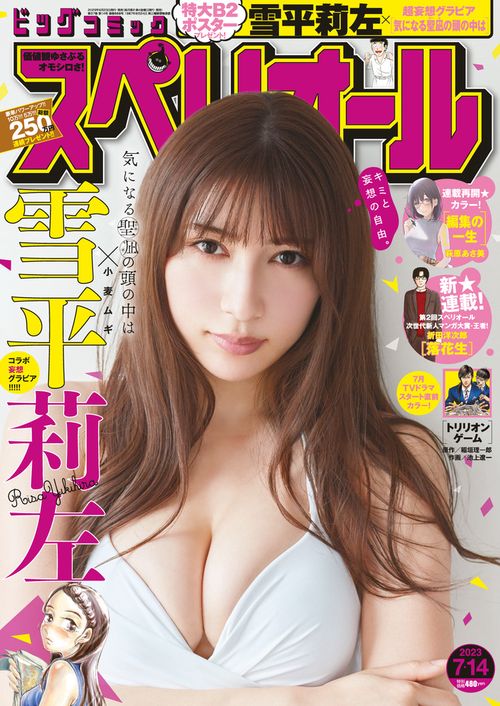 ビッグコミックスペリオール 2023年 (07月2週目)号 [雑誌]