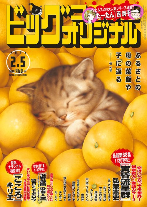 ビッグコミックオリジナル 2023年 (02月1週目)号 [雑誌]
