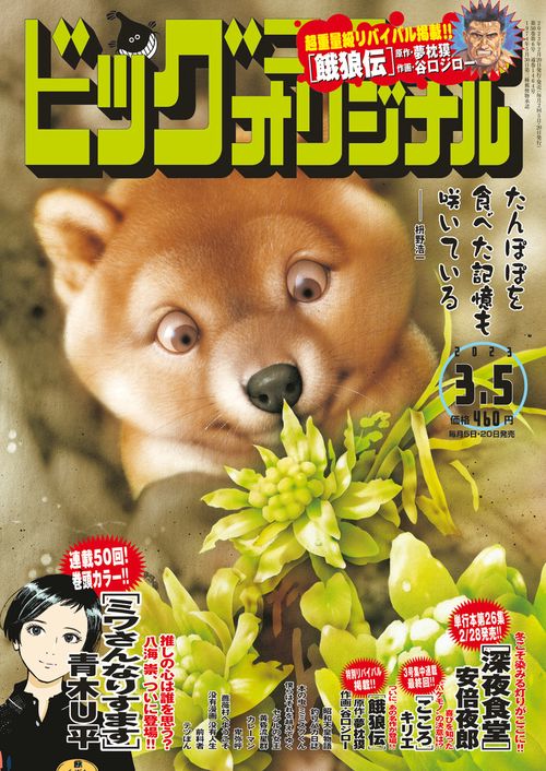 ビッグコミックオリジナル 2023年 (03月1週目)号 [雑誌]