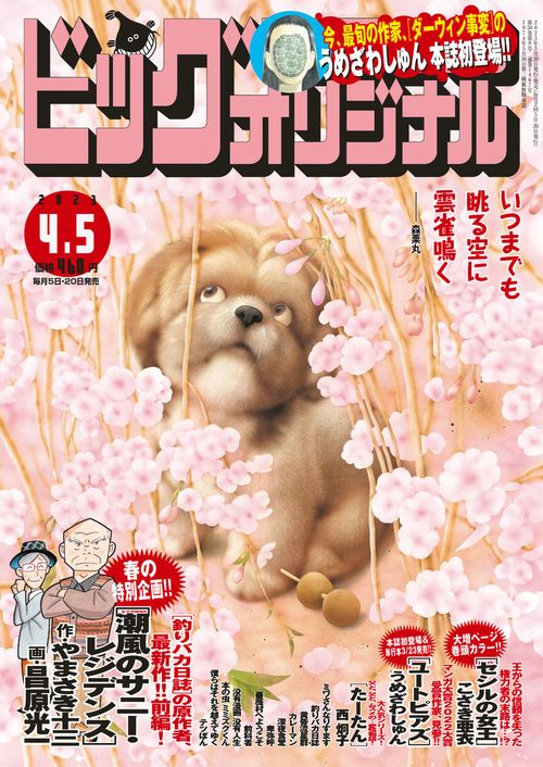 ビッグコミックオリジナル 2023年 (04月1週目)号 [雑誌]