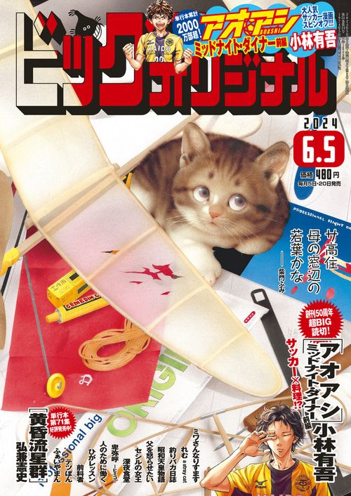 ビッグコミックオリジナル 2024年 (06月1週目)号 [雑誌]