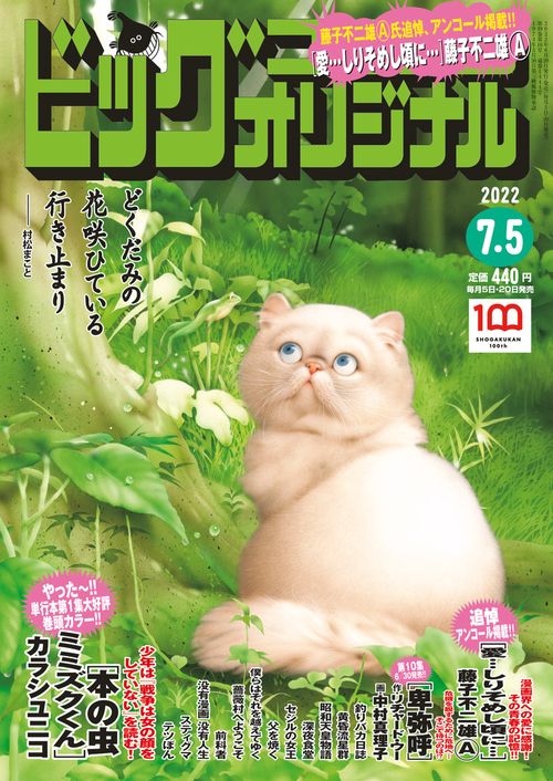 ビッグコミックオリジナル 2022年 (07月1週目)号 [雑誌]