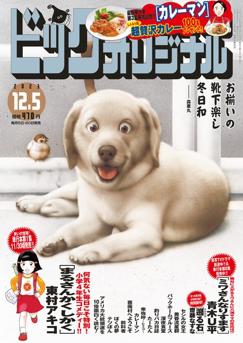 ビッグコミックオリジナル 2023年 (12月1週目)号 [雑誌]