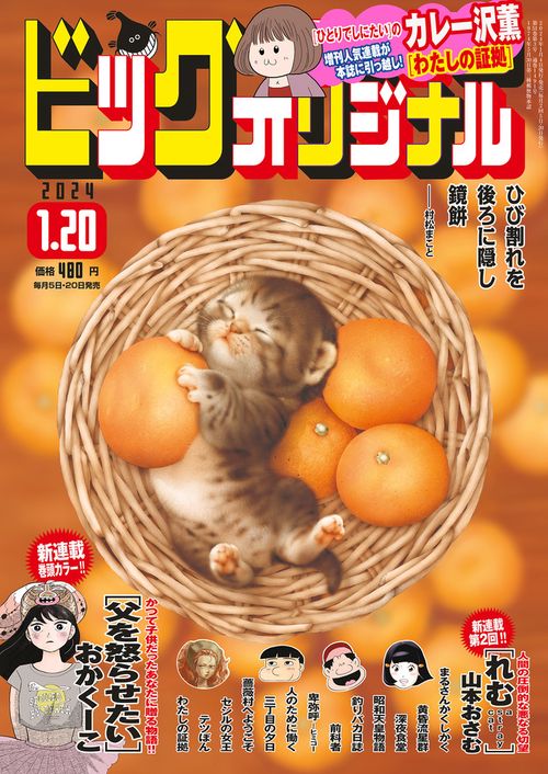 ビッグコミックオリジナル 2024年 (01月3週目)号 [雑誌]