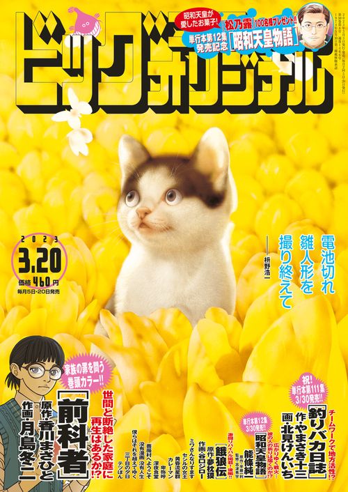 ビッグコミックオリジナル 2023年 (03月3週目)号 [雑誌]