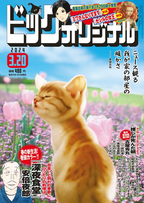 ビッグコミックオリジナル 2024年 (03月3週目)号 [雑誌]