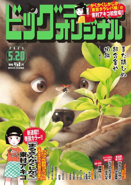 ビッグコミックオリジナル 2023年 (05月3週目)号 [雑誌]