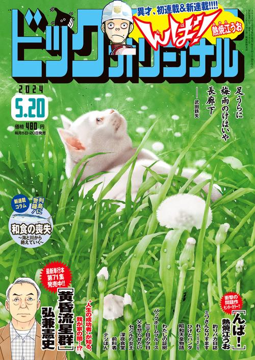 ビッグコミックオリジナル 2024年 (05月3週目)号 [雑誌]