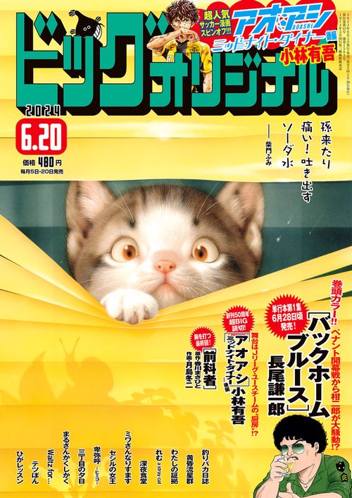 ビッグコミックオリジナル 2024年 (06月3週目)号 [雑誌]
